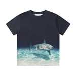 Molo Roxo T-shirt Faded Shark | Marinblå | 116 cm