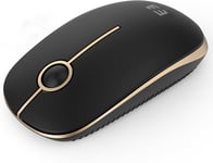 Souris sans fil 2,4 G avec 1600 DPI pour PC/ordinateur portable/MacBook/Linux, 3 boutons silencieux, pour droitiers et gauchers, autonomie de la batterie de 18 mois (noir et doré)