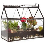 Deco Serre géométrique en Verre pour Terrarium, Plantes succulentes et Plantes aériennes – Serre (25 x 12 x 21 cm)