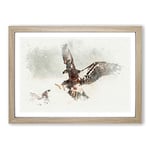 Big Box Art Eagle Attack in Abstract Framed Wall Art Picture Print Ready to Hang, Oak A2 (62 x 45 cm)