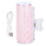 (Pink) Cordless Hair Roller | Mini Electric Hair Curler | USB Automatic Hair NEW