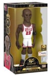 Funko Gold 12": Nba - Michael Jordan W/ch