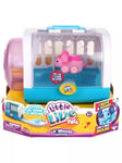 Little Live Pets Lil Mouse & House Playset - Spanish Packaging