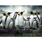 Wee Blue Coo Emperor Penguin Huddle Birds Antarctica Photo Art Large Art Print Poster Wall Decor 18x24 inch