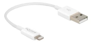 DeLOCK USB - Lightning  cable for iPhone™, iPad™, iPod™ white 15 cm