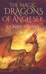 The Magic Dragons of Anglesey