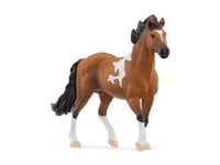 Schleich Horse Club 13978, 5 År, Svart, Brun, Vit