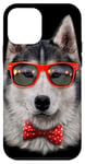 Coque pour iPhone 12 mini Husky de Sibérie dans un cadre de lunettes de soleil rouge rétro