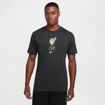 Liverpool T-Shirt Crest - Grå - Nike, storlek Large