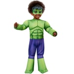 Children's Official Deluxe Marvel Hulk Green Machine Birthday Superhero Costume