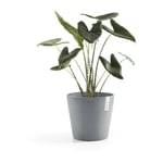 Ecopots - Pot Rond Amsterdam 25 Bleu Gris - ø 25,4 x h. 24,5 cm - 9,7 l