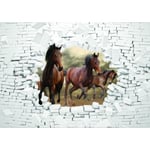 Papier Peint Animaux Chevaux 254x184 cm Panoramique 3D Salon Chambre Photo Non Tissé Intissé Muraux Trompe l'oeil