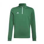 adidas Unisex Kids Entrada 22 Training Top, Team Green/White, 15-16 Years