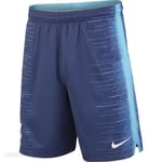 Nike Boy’s Tottenham FC. Football Shorts (Black) - Age 10-12 - 919283 431