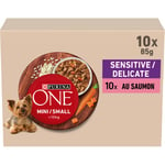 PURINA ONE Mini/Small <10kg Sensitive/Delicate, Effilés au Saumon, au Riz et aux Carottes en sauce pour Chiens Adultes de Petite Taille | Digestion Sensible Sachets Repas 10x85g | Lot de 6