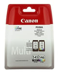 Genuine Canon PG-545 Black CL-546 Colour Ink Cartridges for MG2550 MG2450 IP2850