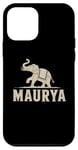 iPhone 12 mini Maurya Ancient India War Elephant Mauryan Empire Case