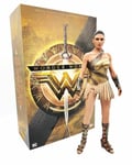 Figurine Hot Toys Mms424 - Dc Comics - Wonder Woman - Wonder Woman Training Armor