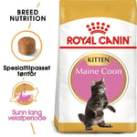 Royal Canin Breed Maine Coon Kitten t&oslash;rrf&ocirc;r til kattunge (4 kg)