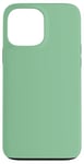 Coque pour iPhone 13 Pro Max Couleur menthe verte simple