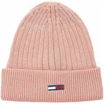 Bonnet Tommy Hilfiger  AW0AW2628