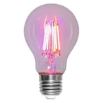 LED växtlampa E27 A60 Plant Light