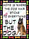 Belgian Sheep Dog Fridge Magnet 100mm x 75mm "HOME IS WHERE THE DOG HAIR STICKS TO EVERYTHING BUT THE DOG" Novelty Gift