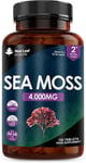 Sea Moss Supplement 120 Tablets Extract High Strength 4000mg - Vegan, UK made