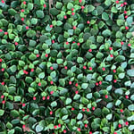 Tenax Divy Capio 1 x 1 m Vert, Panneau Modulaire avec Feuilles Vertes et Baies Rouges, pour Jardin Vertical et Décorations de Noël