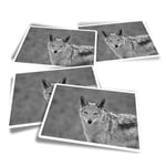 4x Rectangle Stickers - BW - Black Backed Jackal Animal #35252