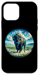 Coque pour iPhone 12 mini Parc national Wind Cave