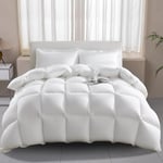 Wellos Couette de Luxe en Plumes et Duvet d'oie – 1000% Pur Coton Pur 750+ Facteur de gonflement de 750+ – Couette pour Toutes Les Saisons + boîte à Chicane 3D Extra Moelleuse – Très Grand lit – 279