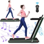 2 in 1 Folding Treadmill Electric 1-12KM/H Walking Running Machine Bluetooth