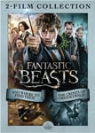 Fantastic Beasts 1 &amp; 2 Col DVD