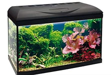 WAVE Basic 60 Aquarium avec Lampe LED pour Aquariophilie