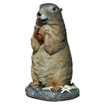 Animal ExtéRieur Suricate Marmotte RéSine Statue Ornements Jardin Paysage Figurines DéCoration Cour Pelouse Artisanat