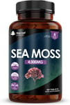 Sea Moss Tablets Extract High Strength 4000Mg - Sea Moss Supplement 365 Tablets 