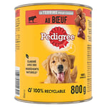 Pedigree Repas pour Chien - Boîtes en terrine pour chien adulte au boeuf et aux carottes - 12 x 800g