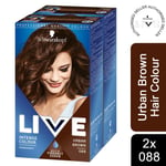 2x Schwarzkopf Live Urban Brown Permanent HairDye,Intense Colour 088 with Serum