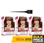 L'Oréal Paris Excellence Creme 5.5 Mahogany Brown Hair Color 3-Pack