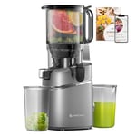 AMZCHEF Automatic Cold Press Juicer Machines 250W Liberate Your Hands -135MM Opening and 1.8L Capacity Slow Juicers for Whole Fruit and Vegetable, with Triple Filter, Safety Lock, Classic Grey