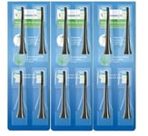 Philips Sonicare sähköhammasharjan päät, 12 kpl. Analoginen