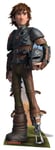 Hiccup How to Train your Dragon 2 Cardboard Cutout Stand up.Great for HTTYD fans