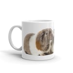 Set of Cute Guinea Pigs Funny Gift Mug - High Quality 10oz Coffee Tea Mug #8124