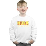 Sweat-shirt enfant Marvel  AKA Robert Bruce Banner