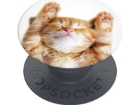 Podstawka Popsockets Popsockets Uchwyt Na Telefon Snoozy Cat Standard