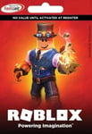 Roblox Card 13.5 EUR Robux Key EUROPE