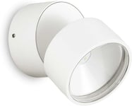 Omega Round, Udendørs væglampe, LED 7W, LED, hvid/4000 kelvin, metal, glas, Ø90xB85mm