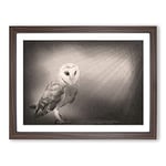 Light Upon The Barn Owl Modern Art Framed Wall Art Print, Ready to Hang Picture for Living Room Bedroom Home Office Décor, Walnut A2 (64 x 46 cm)