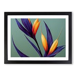 The Bird Of Paradise Flower Vol.5 H1022 WHT Framed Print for Living Room Bedroom Home Office Décor, Wall Art Picture Ready to Hang, Black A2 Frame (64 x 46 cm)